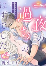 【妄想めろキュンアンソロジー／一夜の過ちのはずでした】もてあそんだのは誰ですか？