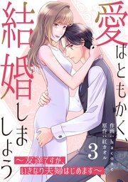 comic Berry’s愛はともかく、結婚しましょう～友達ですが、いきなり夫婦はじめます～3巻