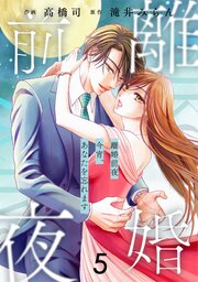 comic Berry’s離婚前夜～今宵、あなたを忘れます～