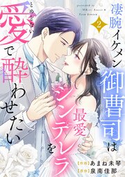 凄腕イケメン御曹司は最愛シンデレラをとめどない愛で酔わせたい【電子単行本版】 2巻