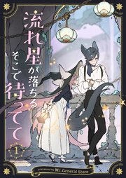 流れ星が落ちるそこで待ってて