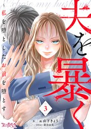 夫を暴く～私を堕としたお前を堕とす～（3）