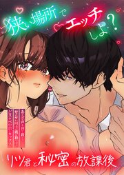 狭い場所でエッチしよ? ～リツくんと秘密の放課後 ～【R-18版】
