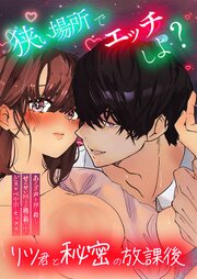 狭い場所でエッチしよ? ～リツくんと秘密の放課後 ～