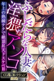 ふしだらな人妻の淫猥なアソコ ～年上の熟練テクで絶頂昇天ドスケベH～【CG集コレクションBIG】