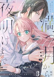 満つ月から夜明けまで ～恋する義妹は満月の夜に発情する～【R-18分冊版】3