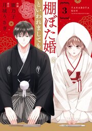 comic Berry’s棚ぼた婚といわれましても3巻