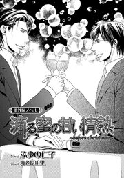 滴る蜜の甘い情熱　～before christmas～