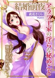 結婚前夜 アラブ王家の淫らな秘めごと～王子たちの強引な花嫁吟味～