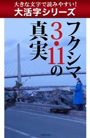 【大活字シリーズ】フクシマ3.11の真実