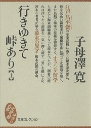 行きゆきて峠あり（上）