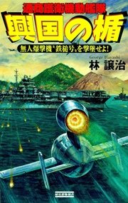 興国の楯 通商護衛機動艦隊 無人爆撃機“鉄槌号”を撃墜せよ！