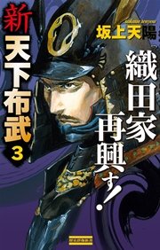 新 天下布武 3 織田家再興す！