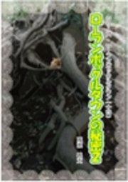シリーズ・ローランボックルタウン14 ローランボックルタウンの秘密2