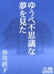 ゆうべ不思議な夢を見た 第十二夜