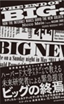 ビッグの終焉 ラディカル・コネクティビティがもたらす社会の未来