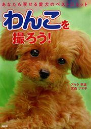 わんこを撮ろう！