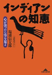 インディアンの知恵～心が曇ったら空を見よ～