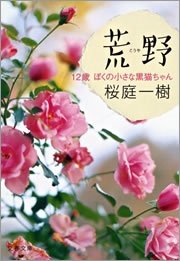 荒野（こうや）　12歳　ぼくの小さな黒猫ちゃん