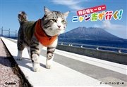 野良猫ヒーロー ニャン吉が行く！  かぎしっぽのアイドル猫「ニャン吉」感動の写真集