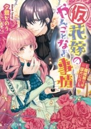 (仮)花嫁のやんごとなき事情8 ～離婚祭りは盛大に！？～