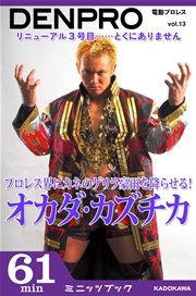 電動プロレス vol.13