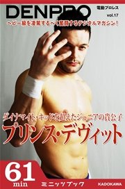 電動プロレス vol.17