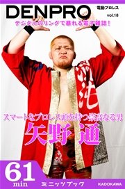 電動プロレス vol.18