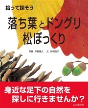 拾って探そう 落ち葉とドングリ・松ぼっくり