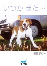いつかまた…