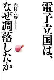 電子立国は、なぜ凋落したか