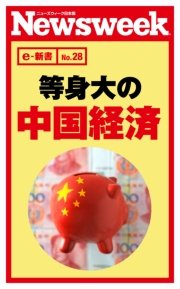 等身大の中国経済（ニューズウィーク日本版e-新書No.28）
