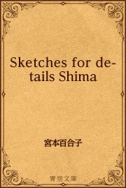 Sketches for details Shima