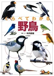 日本の野鳥識別図鑑 最新刊 無料試し読みなら漫画 マンガ 電子書籍のコミックシーモア