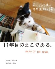 まこという名の不思議顔の猫 11年目のまこである。