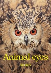 Animal eyes