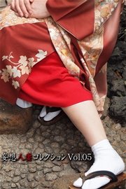 妄想人妻コレクションVol.05