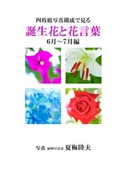 四枚組写真構成で見る誕生花と花言葉６～７月編