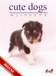 cute dogs DELUXE01 シェットランド・シープドッグ