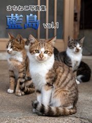 まちねこ写真集･藍島 vol.1