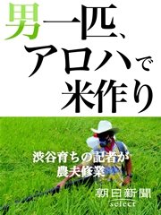 男一匹、アロハで米作り 渋谷育ちの記者が農夫修業