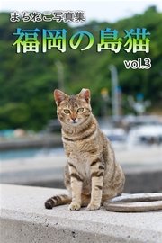 まちねこ写真集・福岡の島猫 vol.3
