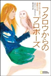 フクロウからのプロポーズ