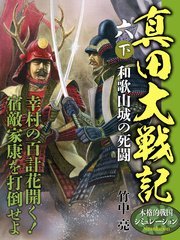 真田大戦記 六 下 和歌山城の死闘