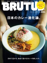 BRUTUS 243巻