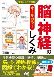 運動・からだ図解 脳・神経のしくみ