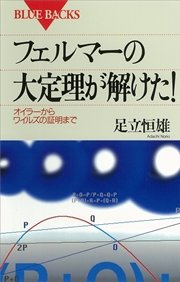 フェルマーの大定理が解けた！ オイラーからワイルズの証明まで