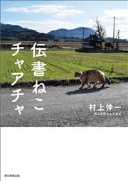 伝書ねこ チャアチャ