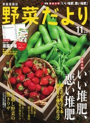 野菜だより 2016年11月号