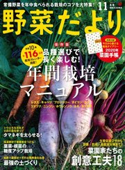 野菜だより 2019年11月号